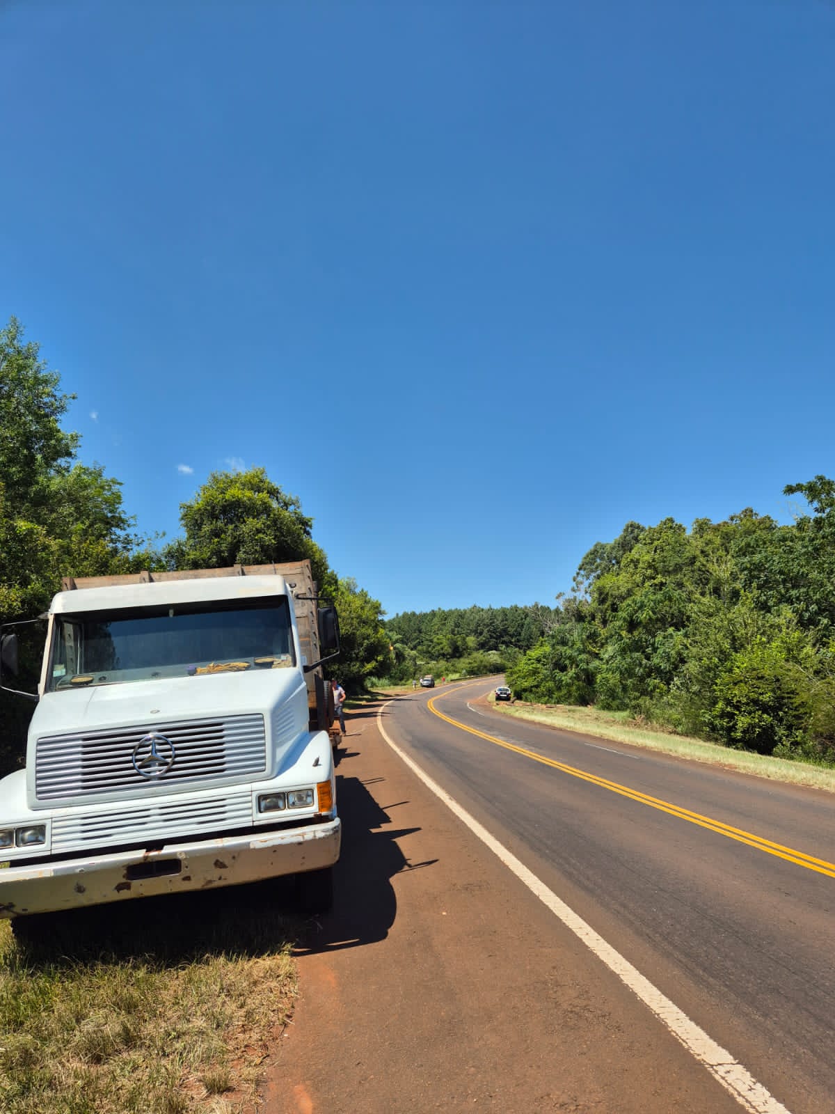 Caraguatay: un camión perdió el acoplado y la carga terminó en la banquina de la Ruta Nacional 12 2
